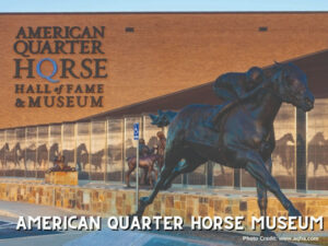 Experiencing the American Quarter Horse Museum is one of the most educational things to do in Amarillo!